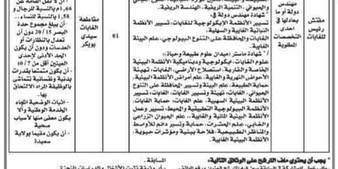 اعلان توظيف محافظة الغابات ولاية سعيدة اكتوبر 2019 مدونة التوظيف