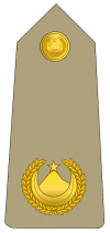 رائد  commandant